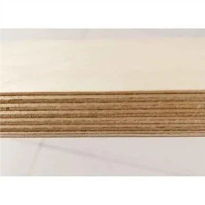 Contreplaqué de bouleau multicouche